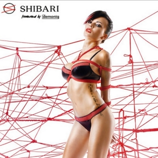 �f���j�b�N�@�i����@�}�X���@�r�j