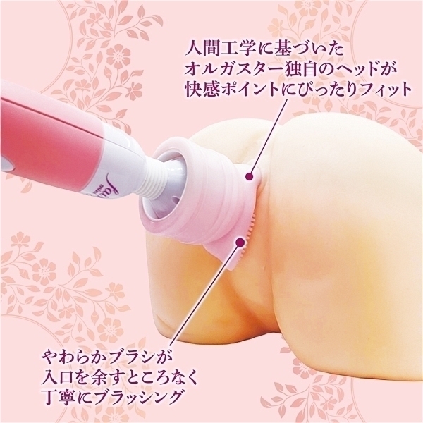 �I���K�X�^�[�@�\�t�g�A�^�b�`�����g�@�i�s���N�j