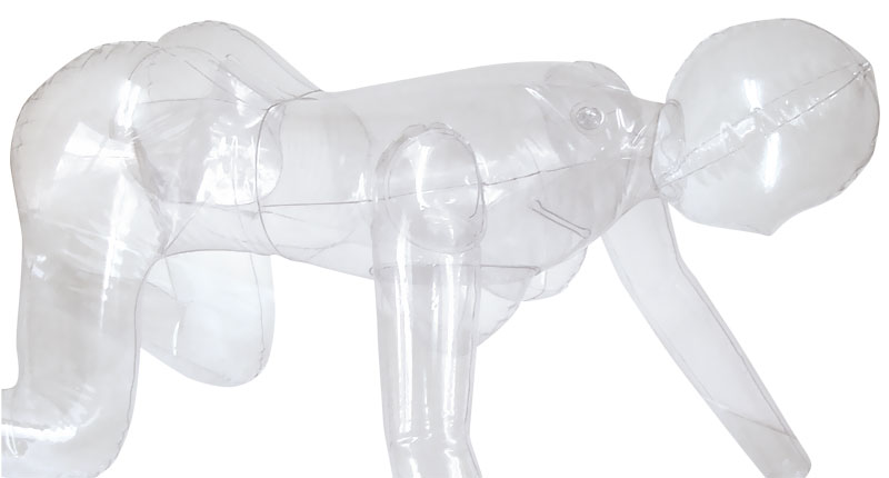 �k�n�u�d�@�a�n�c�x�@�q�d�m�i���u�{�f�B�@�����j