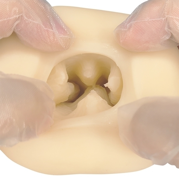 �y�R�O�Q�O�~�����ʌ���z����l�̕U���߁�����l�l�P�_���聄