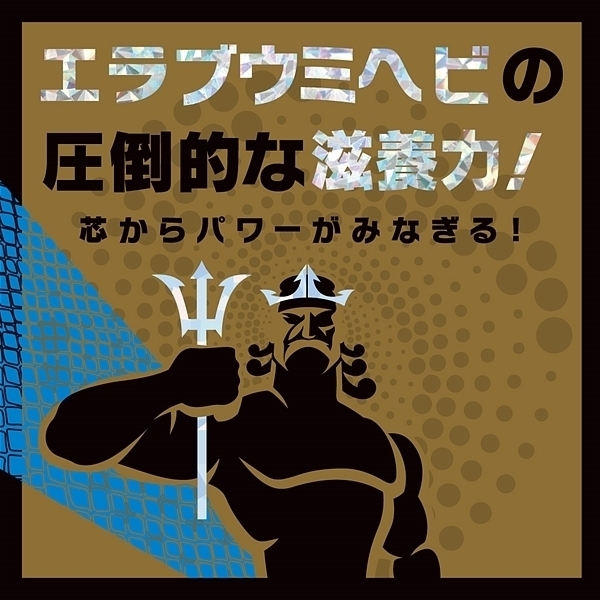 �y�P�S�W�O�~�����ʌ���z�X�g�����O�c�@�C�ց@�i�[���[�T�񕪁j������l�l�P�_���聄