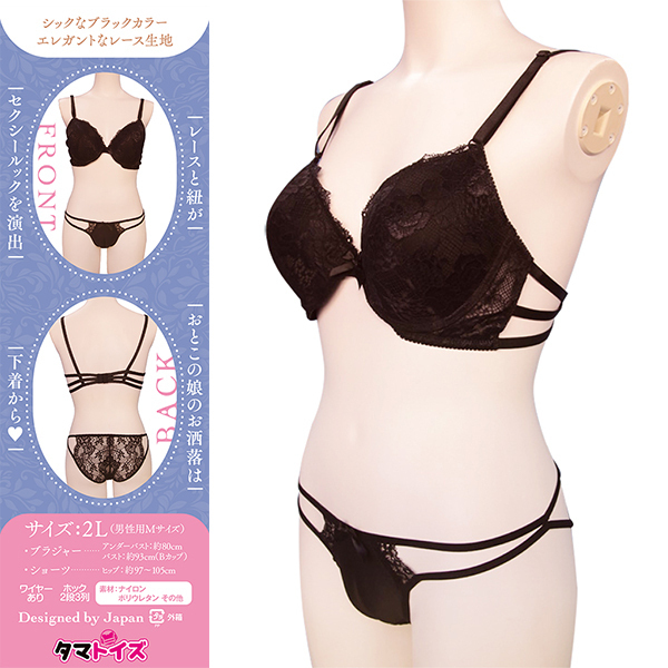 �y�Q�S�U�O�~�����ʌ���z�������V���[�c���@�u���@���Ƃ��̖��p������l�l�P�_���聄