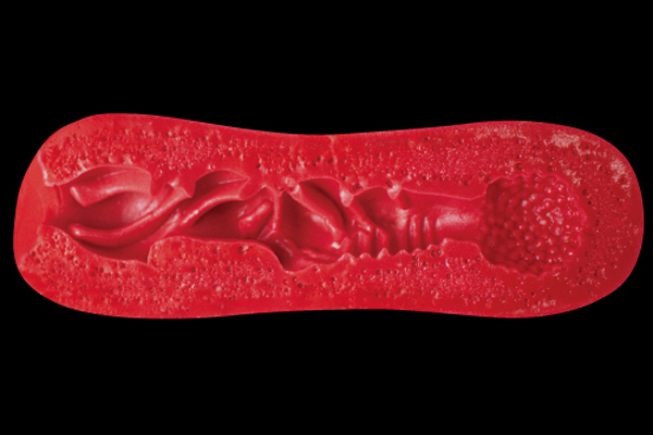 �y�V�O�O�~�����ʌ���z�r�h�|�w�@�s�������D�b�i�V�b�N�X�@�^�C�v�V�[�j������l�l�P�_���聄