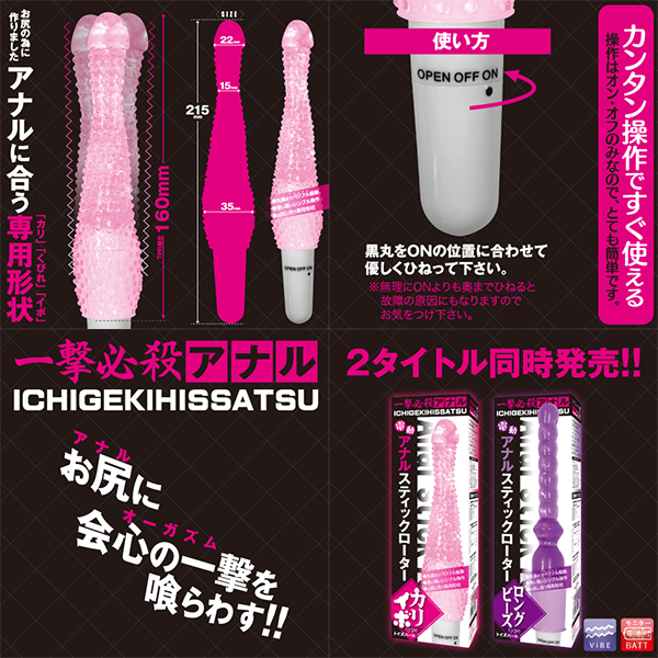 �A�i���X�e�B�b�N���[�^�[�@�i�J���C�{�^�C�v�j