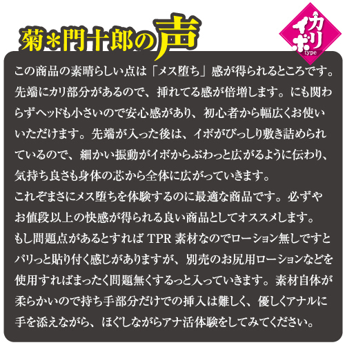 �A�i���X�e�B�b�N���[�^�[�@�i�J���C�{�^�C�v�j