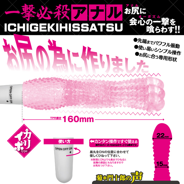 �A�i���X�e�B�b�N���[�^�[�@�i�J���C�{�^�C�v�j